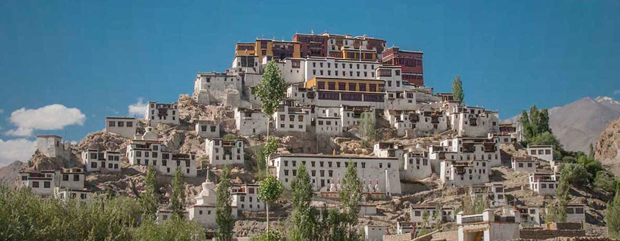 Ladakh Monastery Trek