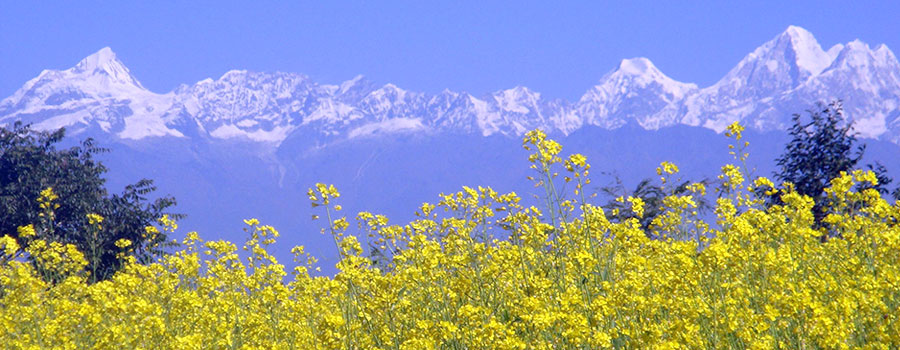 Sundarijal Chisapani Nagarkot Hiking