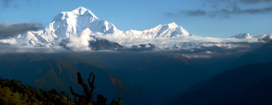 Dhaulagiri Trekking