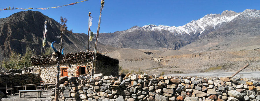 Dolpo Trekking