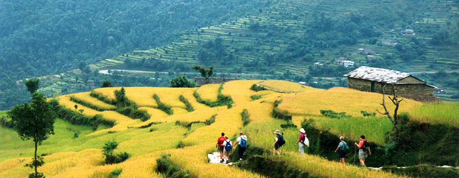 Nepal Trekking Information