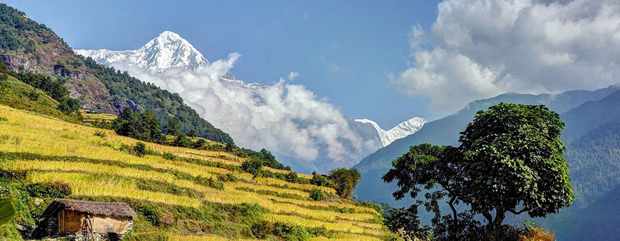 What is Trekking ?